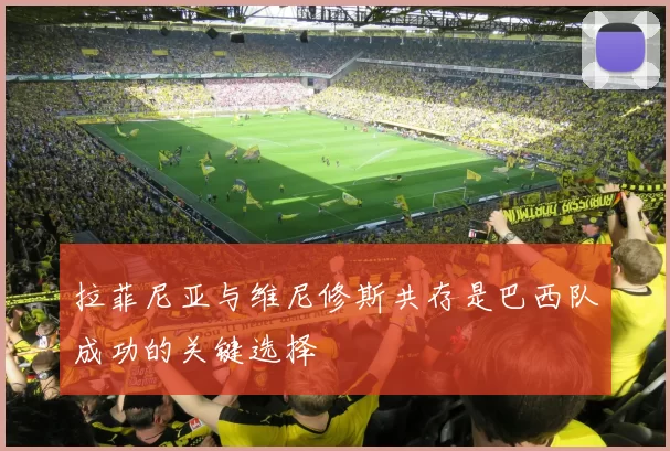 拉菲尼亚与维尼修斯共存是巴西队成功的关键选择