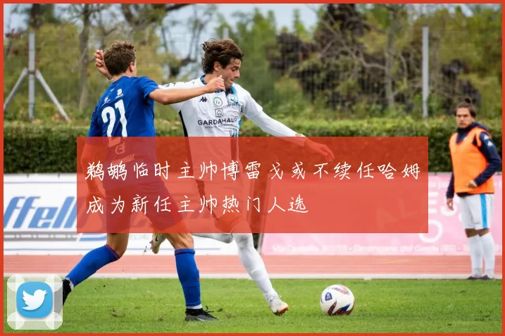 鹈鹕临时主帅博雷戈或不续任哈姆成为新任主帅热门人选