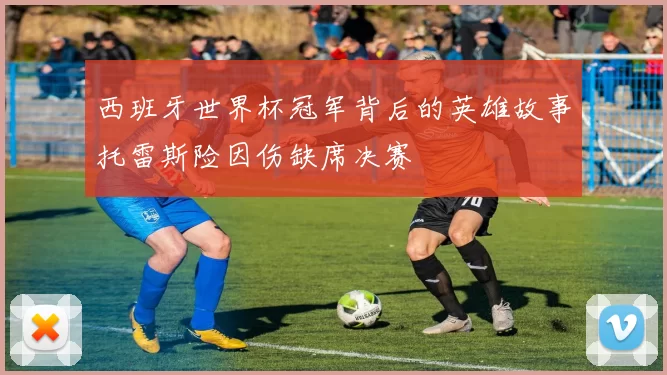 西班牙世界杯冠军背后的英雄故事托雷斯险因伤缺席决赛
